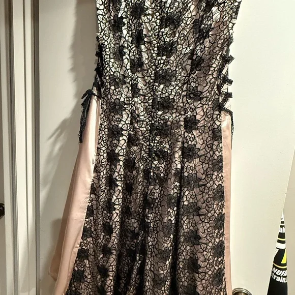 Bettie Page by Tatyana Elegant Lace Overlay Dress in Black and Beige - Picture 2 of 8